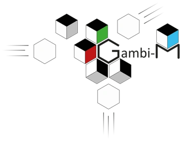 Gambi-M