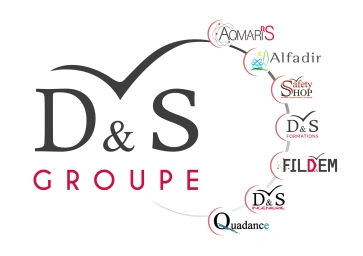 D&S Groupe