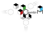 Gambi-M